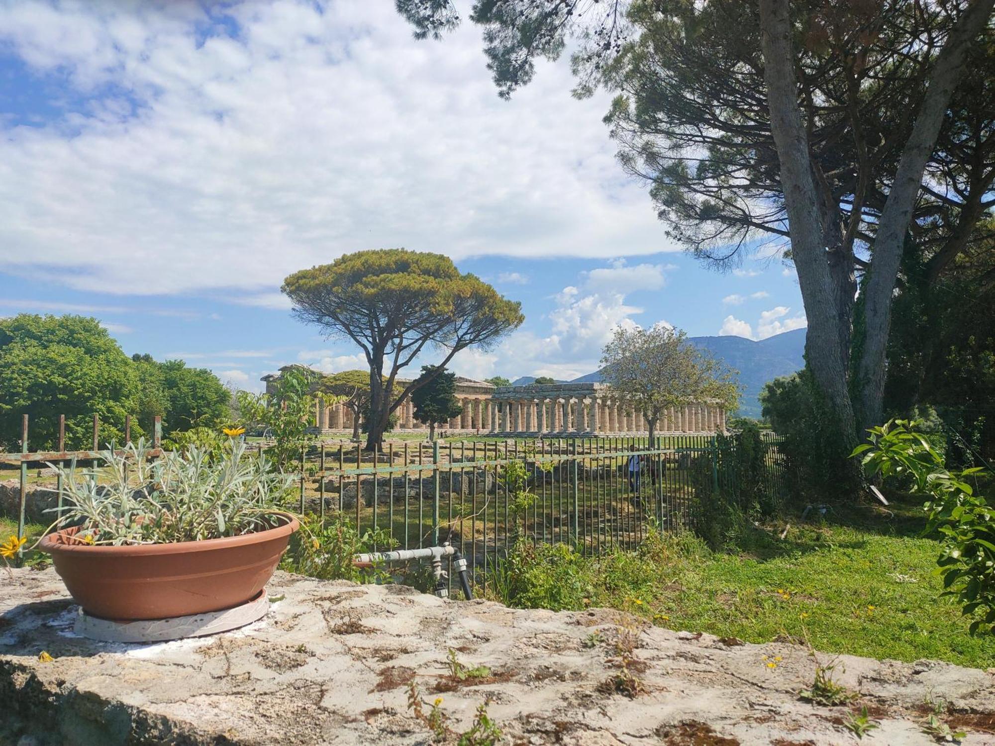 Il Giardino Di Athena 1 Apartment Paestum Bilik gambar