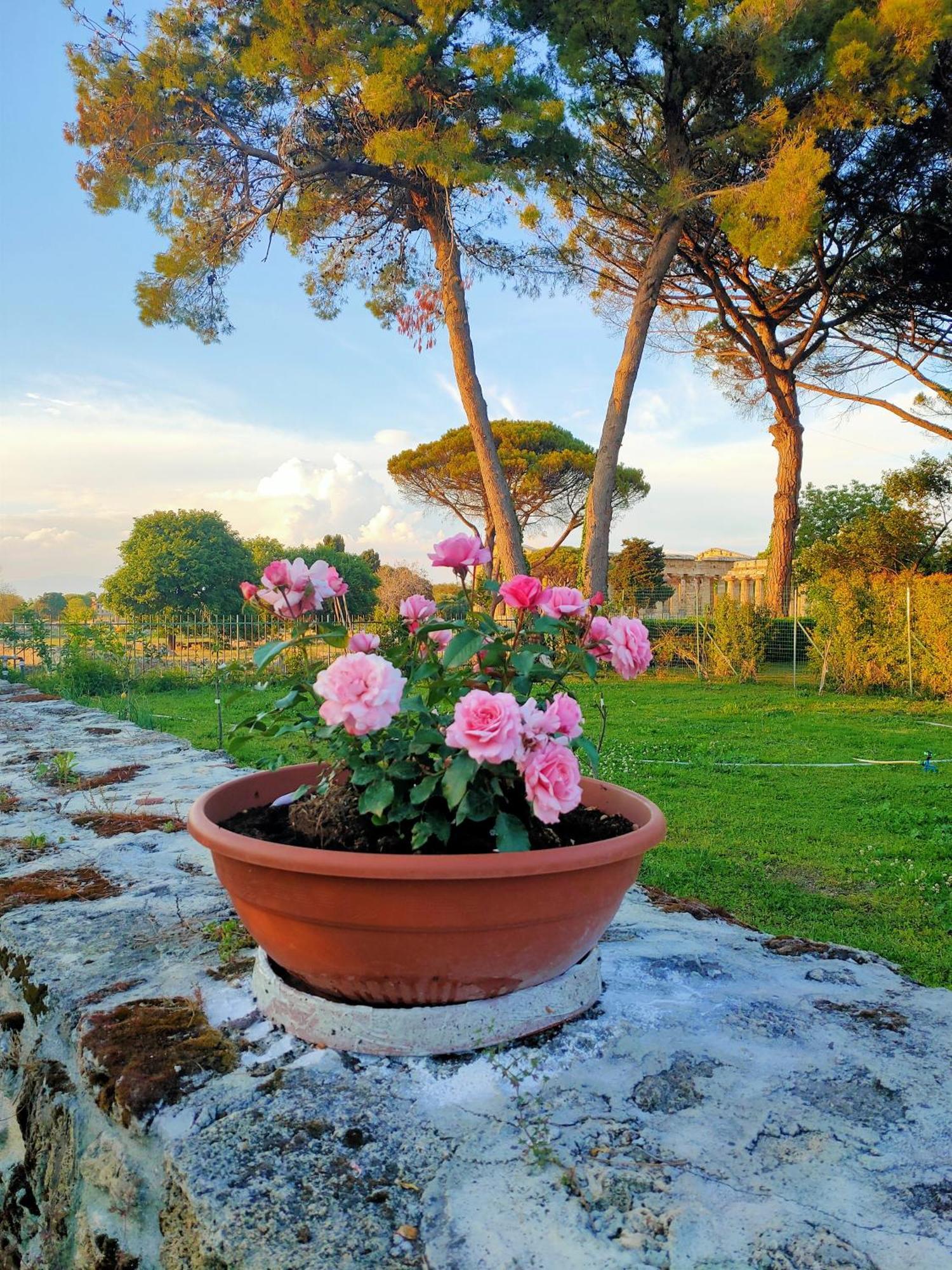 Il Giardino Di Athena 1 Apartment Paestum Luaran gambar